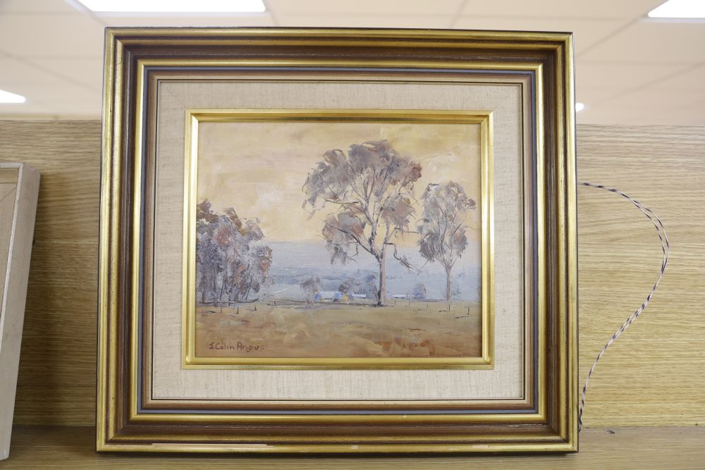 J. Colin Angus (Australian, 1907-2002), oil on canvas, Dust in the Mitta Valley, signed, 24 x 29cm